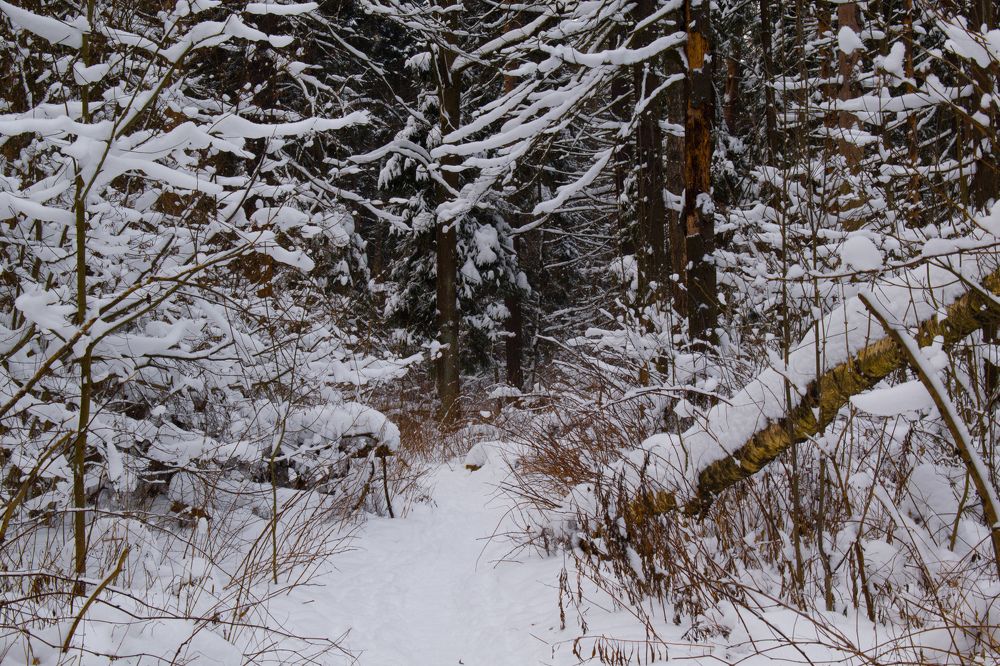 Photograph by Александр Бураков