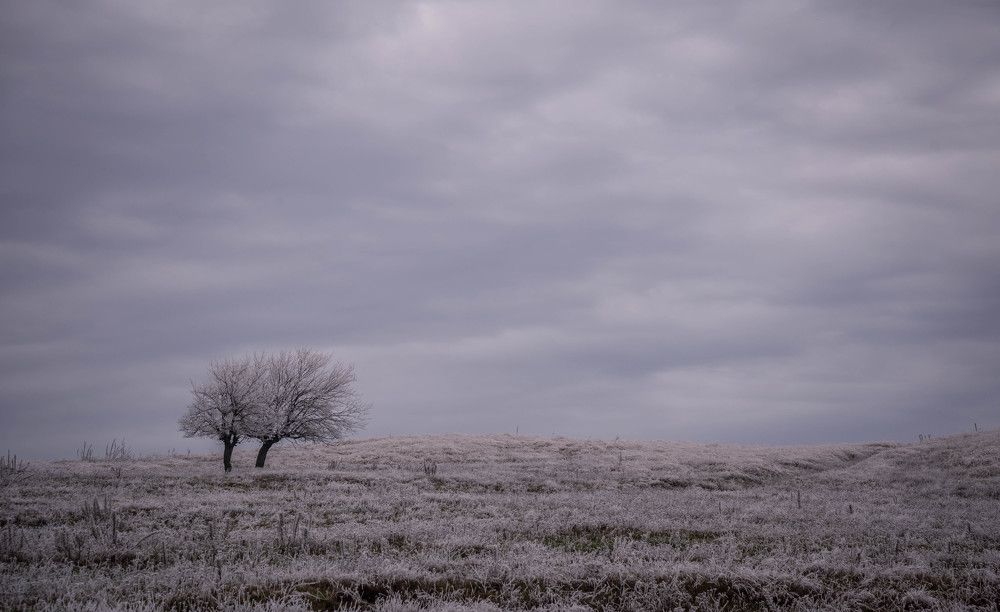 Фотография автора Konstantin Vladov