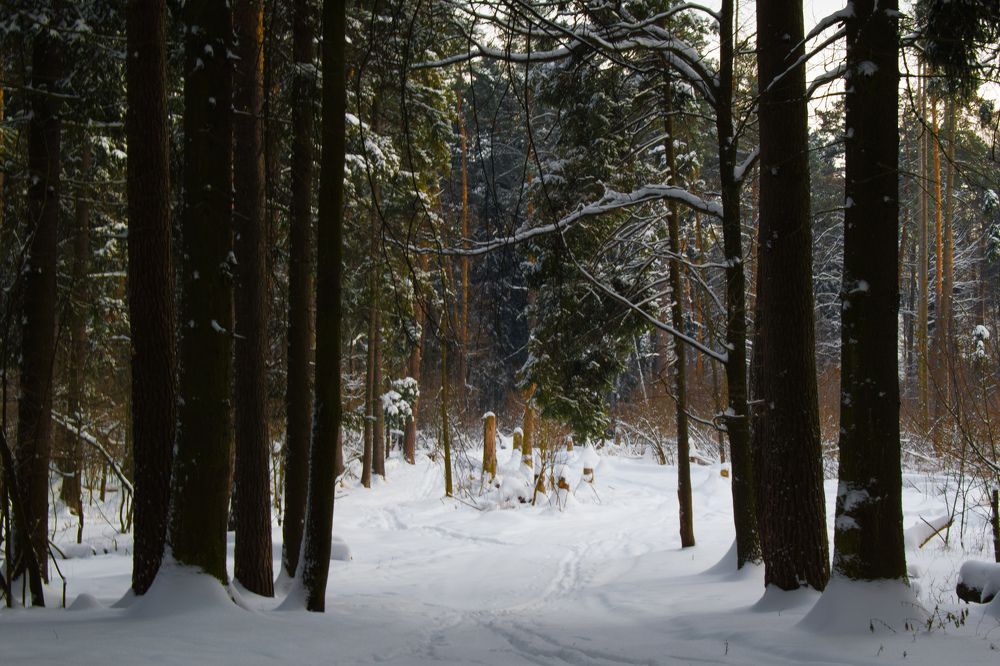 Photograph by Александр Бураков