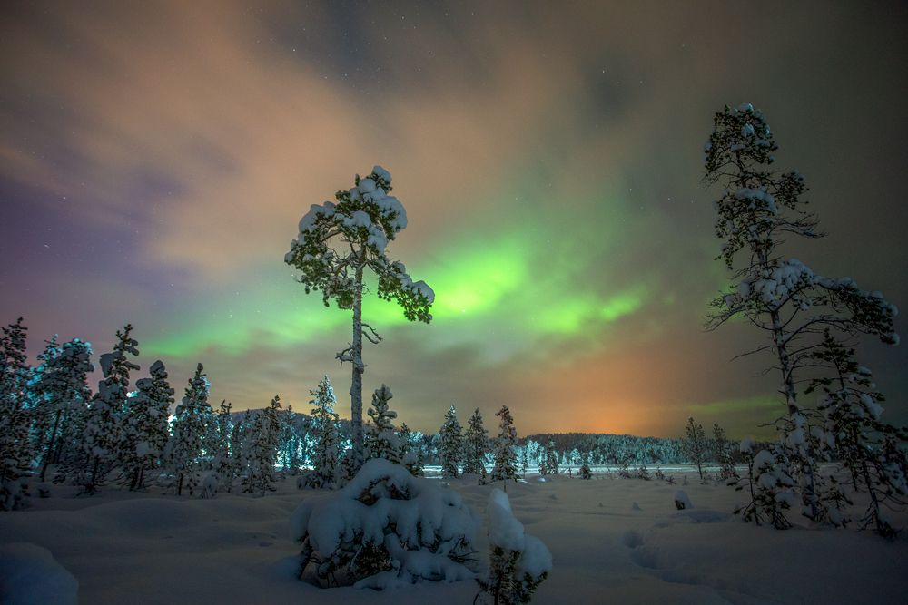 Photograph by Парамонов Григорий