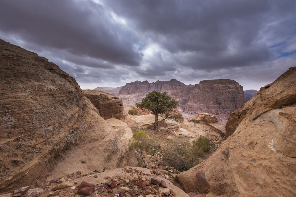 Photograph by Светлана Краюшкина