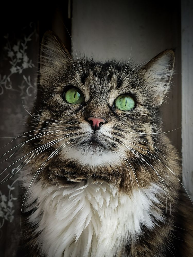 Photograph by Алеся Писнова