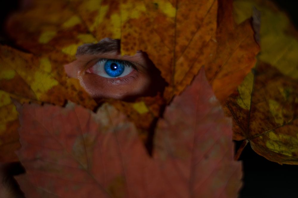 Photograph by Michal Samolej