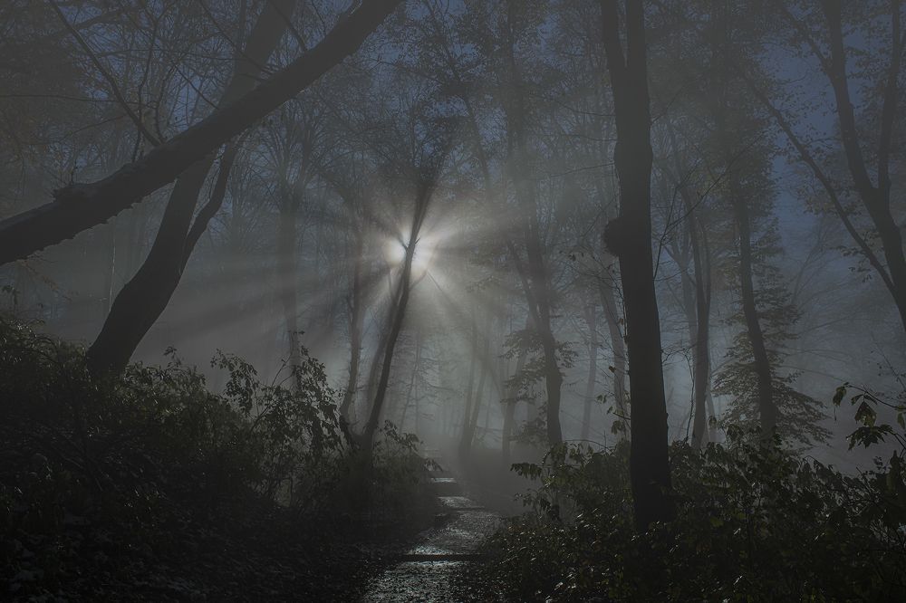 И солнца свет, в дорогу.