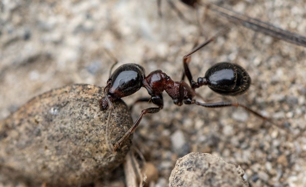 Photograph by Каролина Дидур