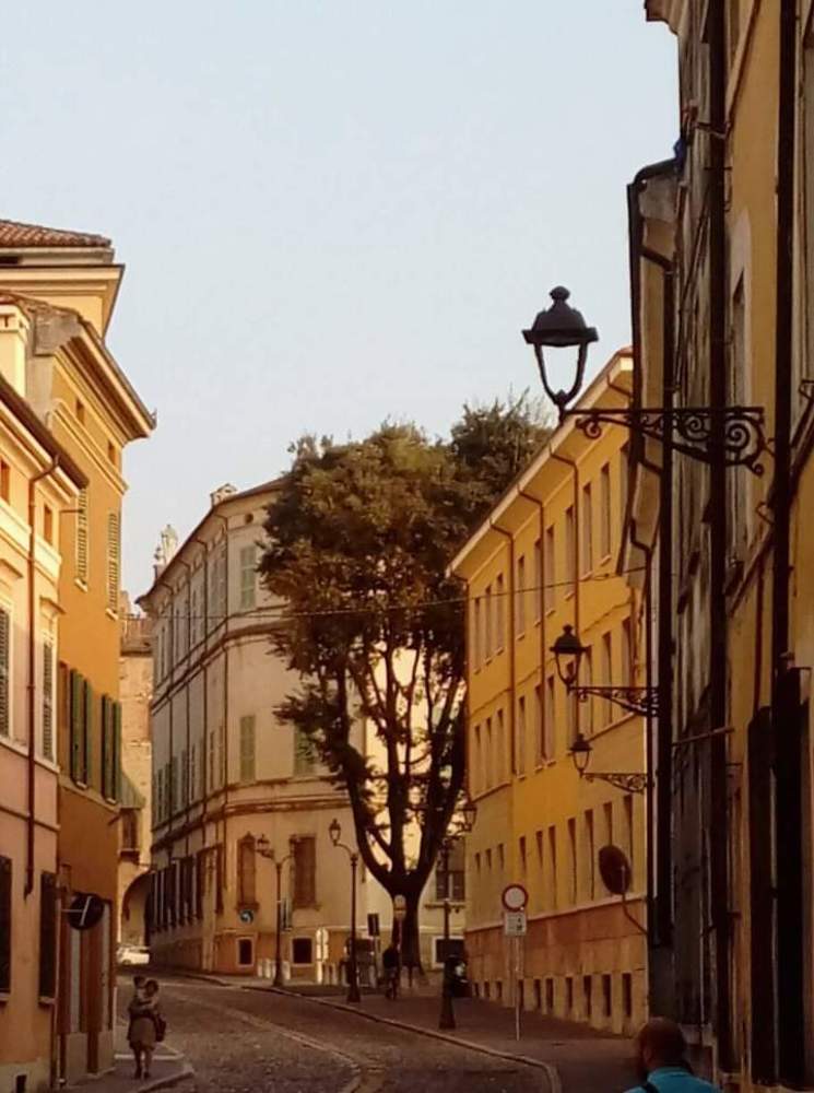 Photograph by Darko Milojevic