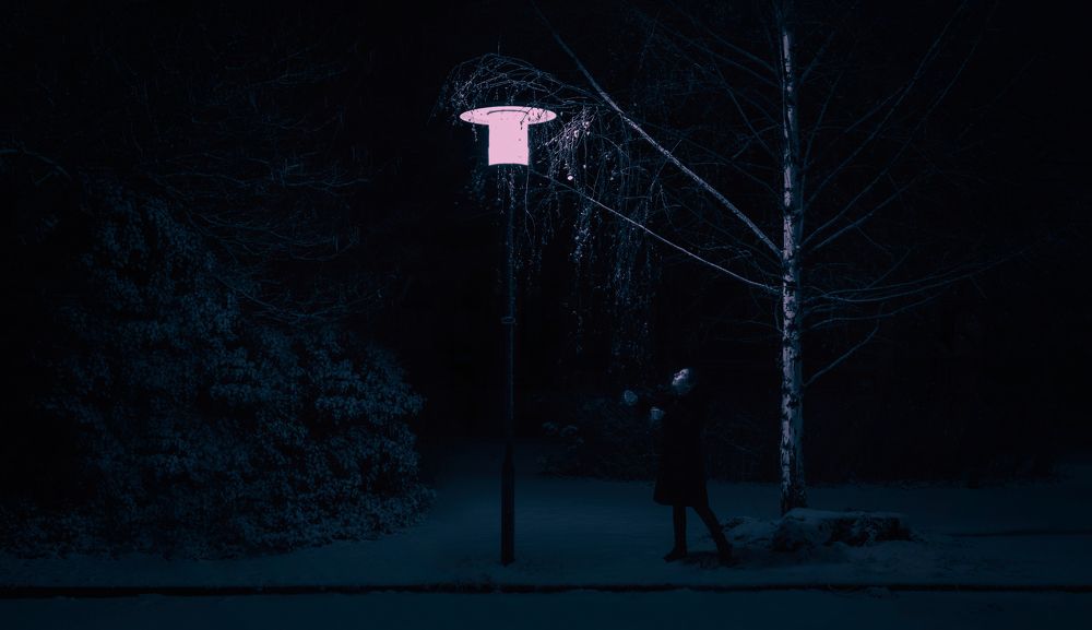 Photograph by ბარნაველი ალექსანდრე