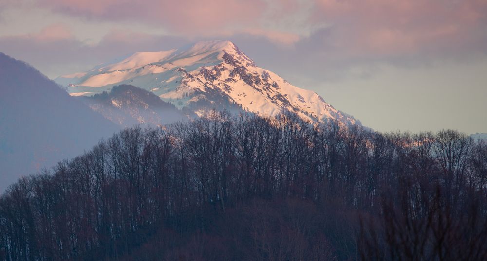 Photograph by Алексей Солоухин