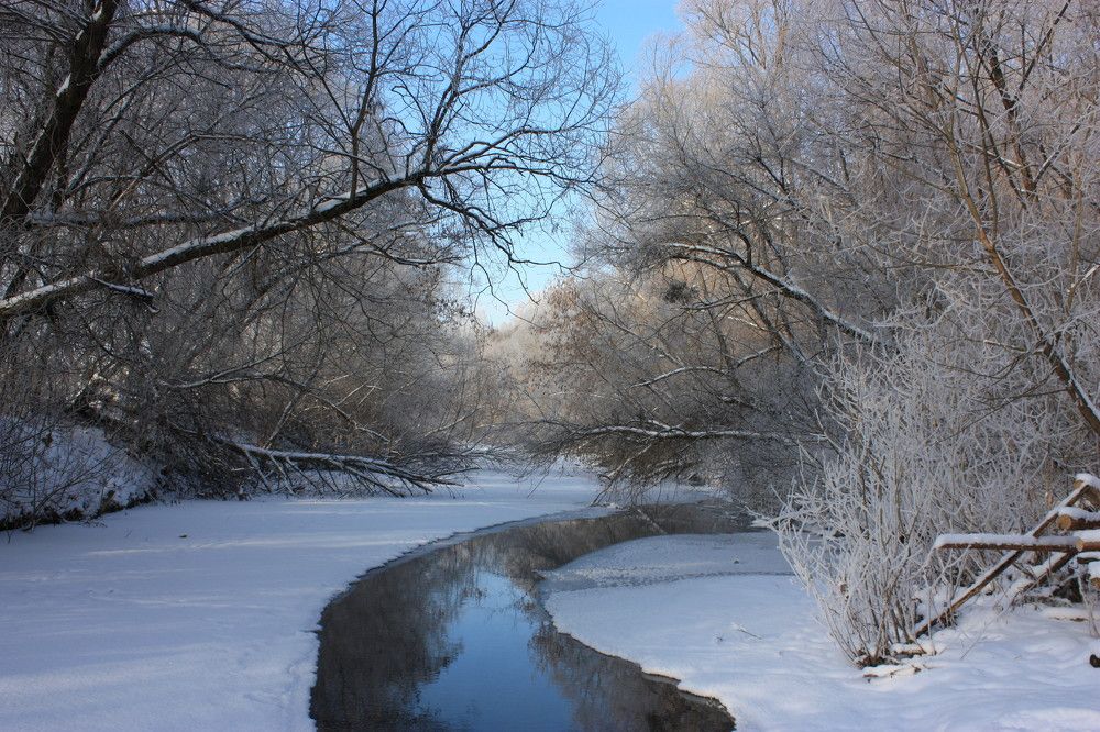 Photograph by Elena Bereberdina