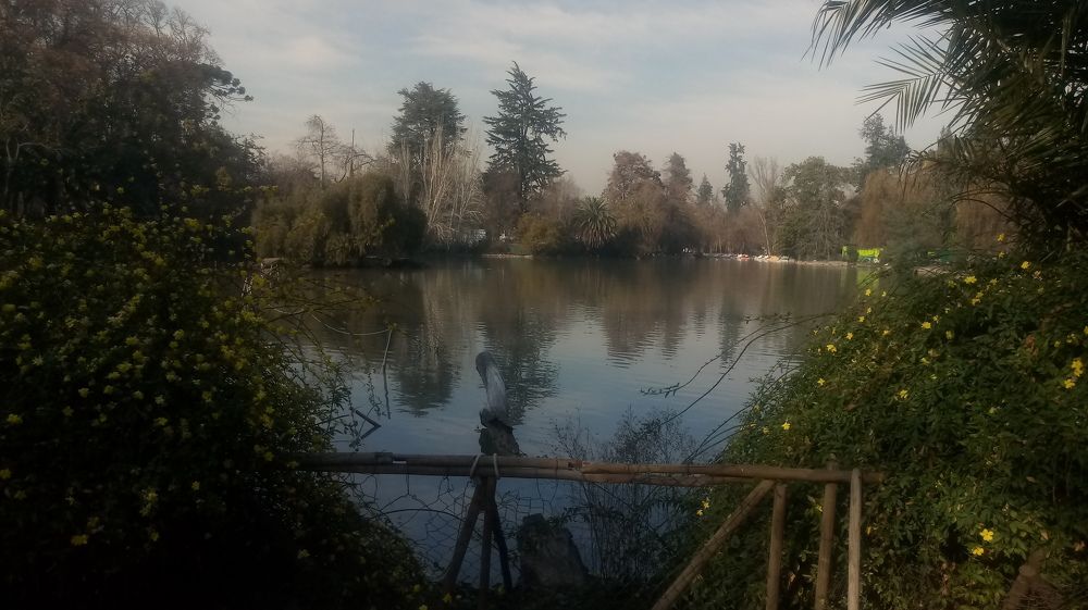 Photograph by Carlos Alberto Martínez González