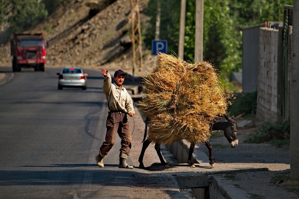 Photograph by Александр КАИ