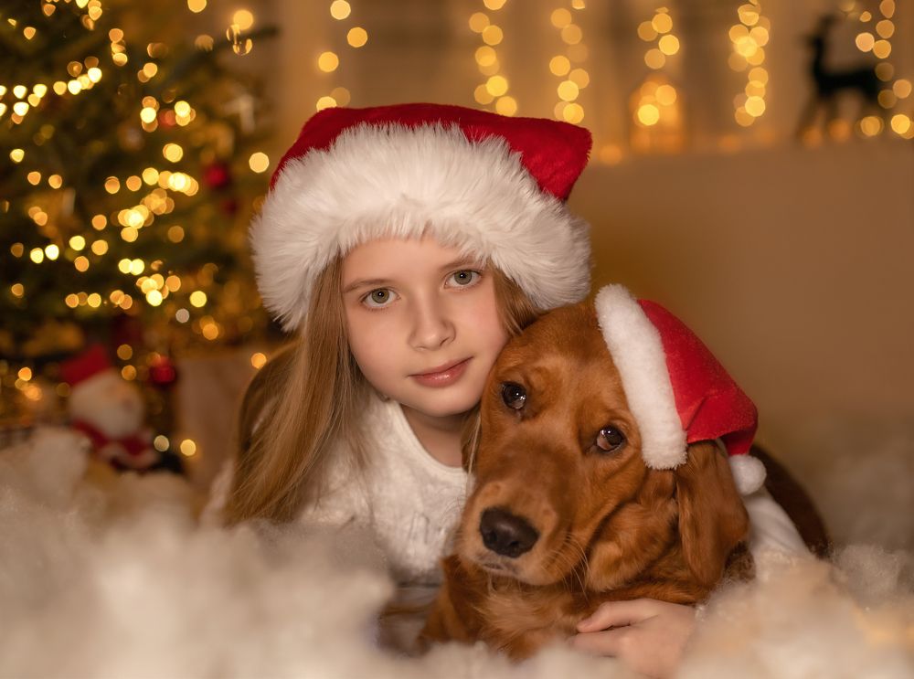 Фотография автора Natalja Bindere