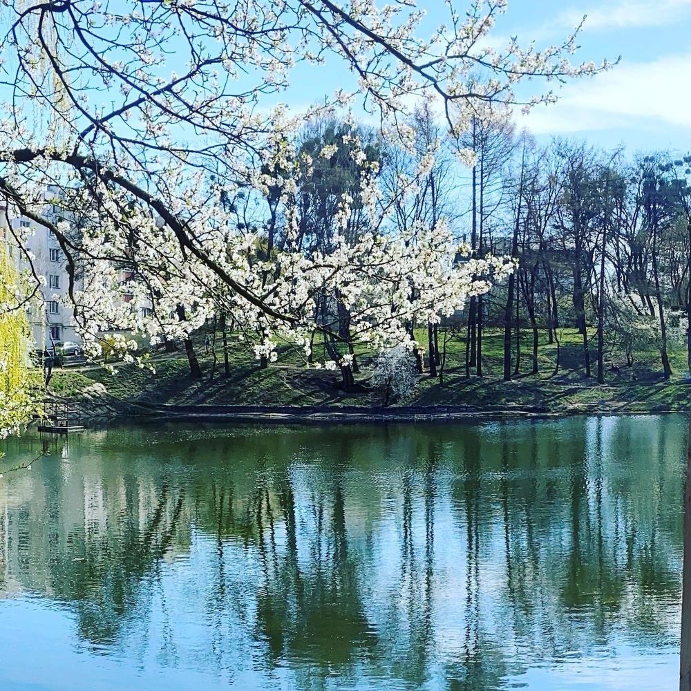 И снова весна.