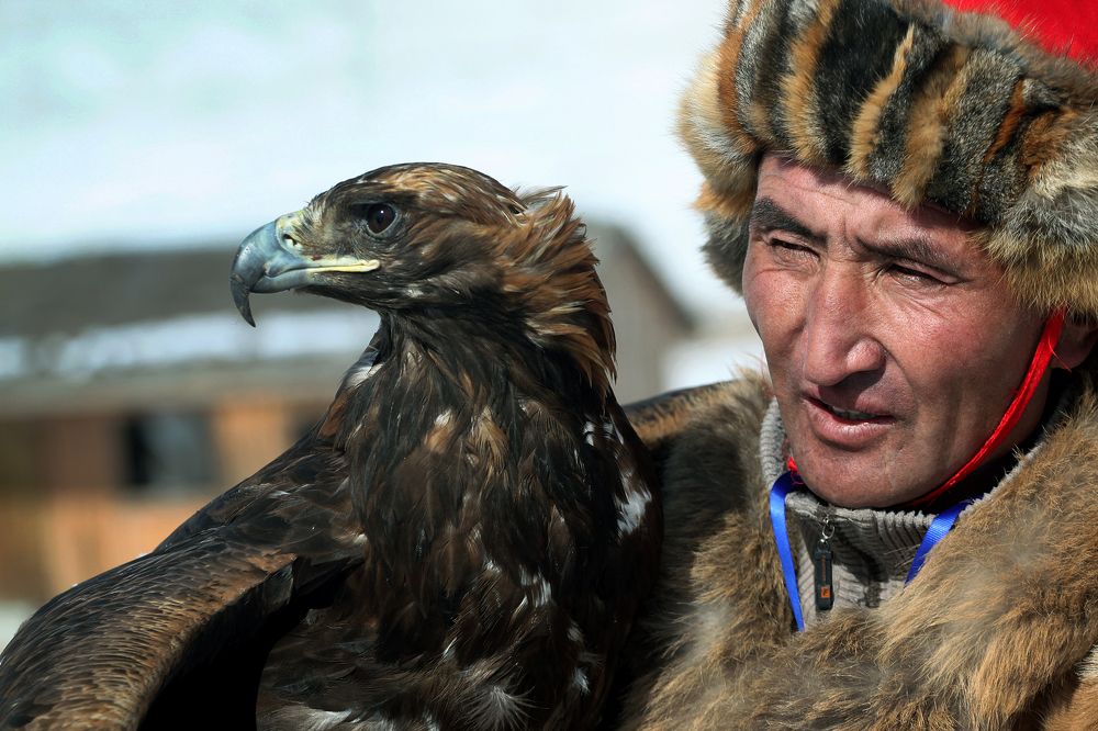 Фотография автора Battulga Vandandorj