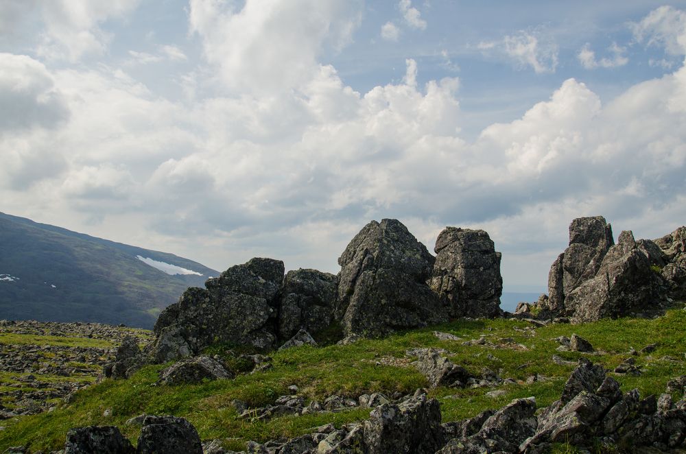 Photograph by Людмила Зяблова