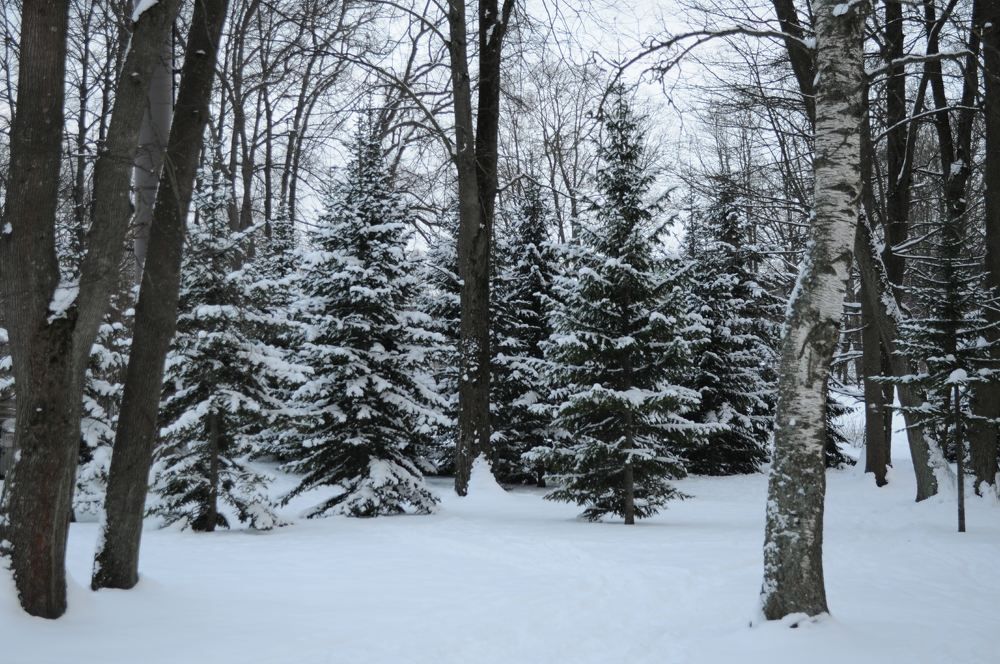 Photograph by Дмитрий Шарый