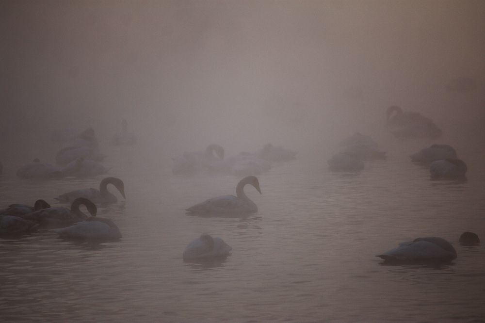 Photograph by Виталий Черненький