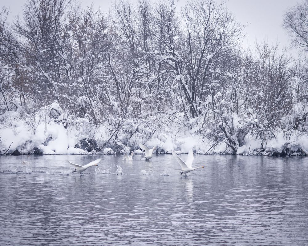 Photograph by Виталий Черненький