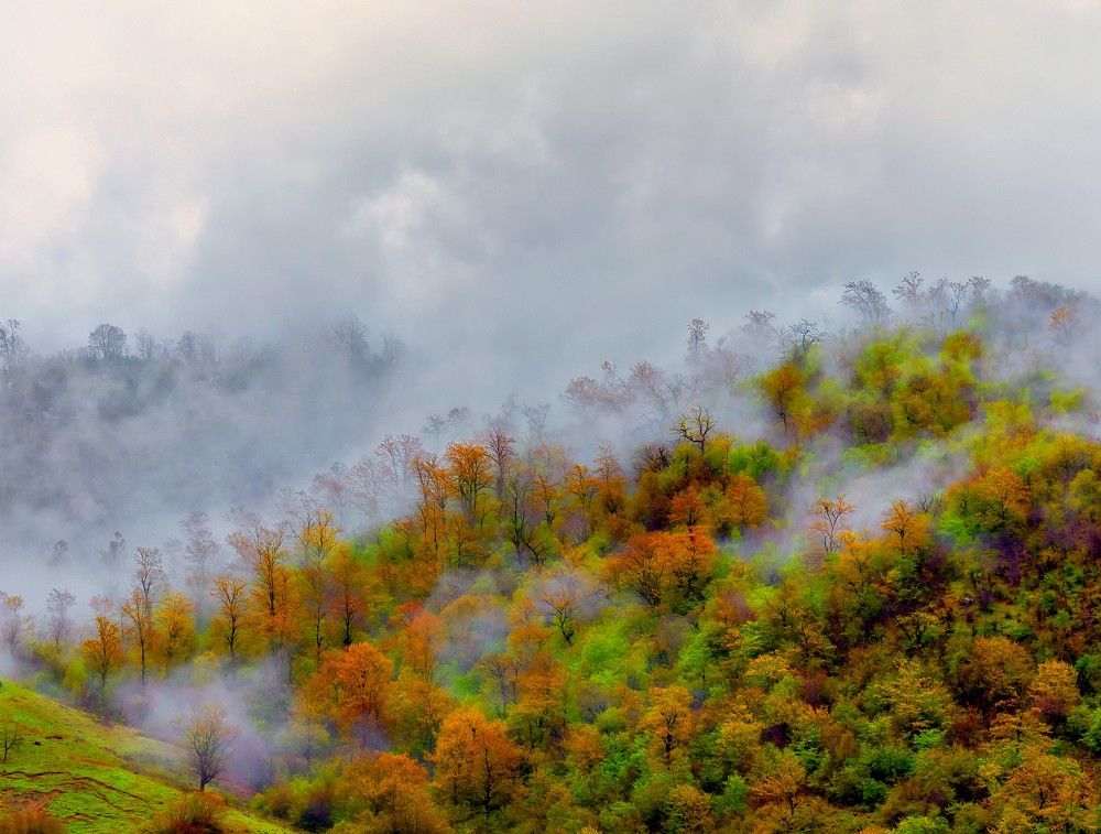 Photograph by Mohammad ATAEI