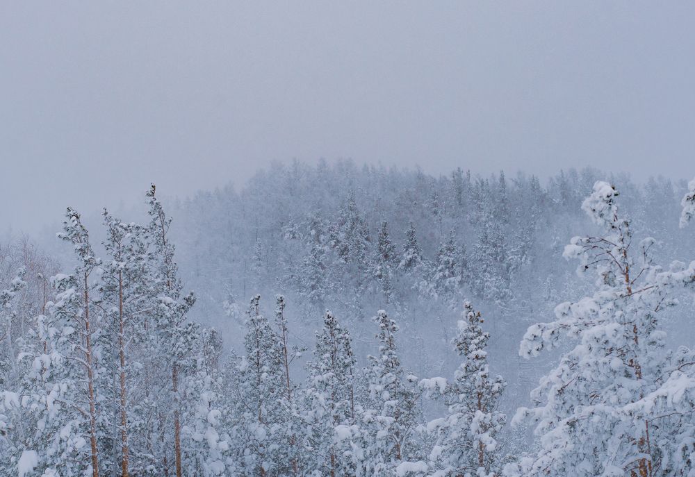 Photograph by Инна Макеева