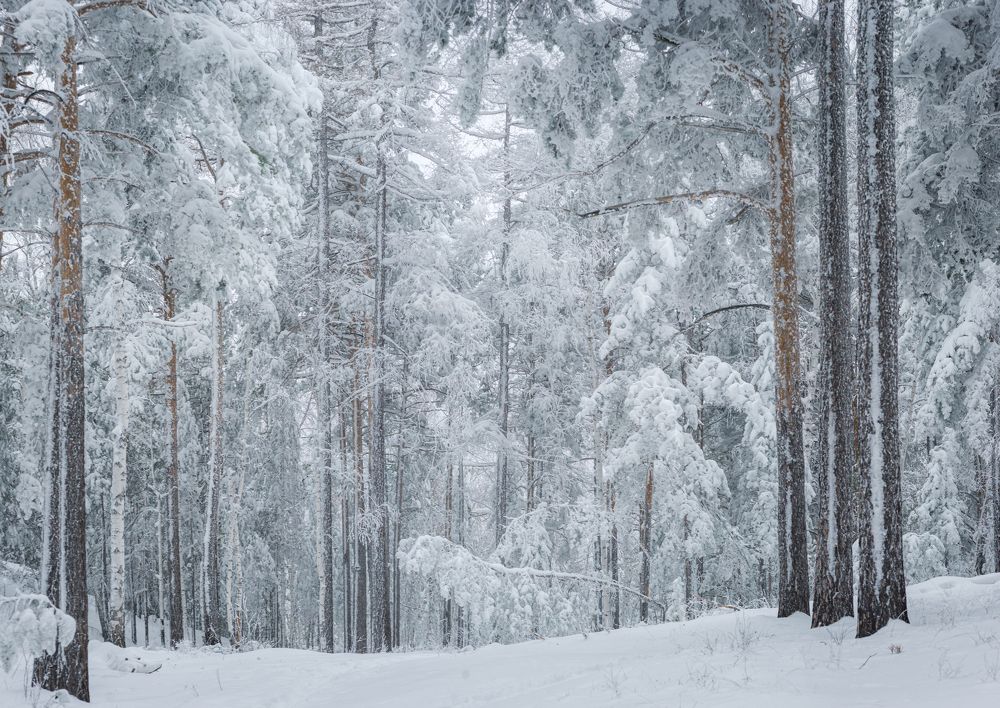 Photograph by Инна Макеева