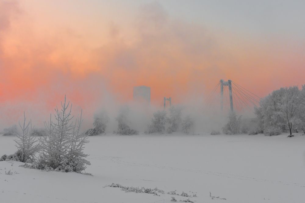 Сколько чудес за туманами кроется.