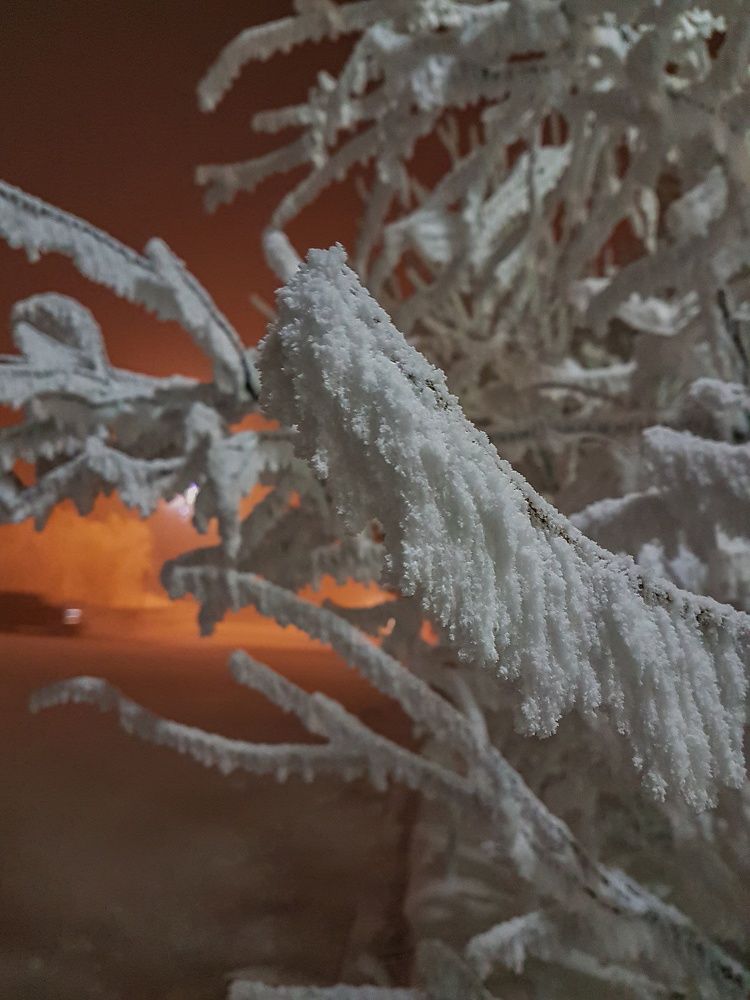 Photograph by Светлана Валентионок