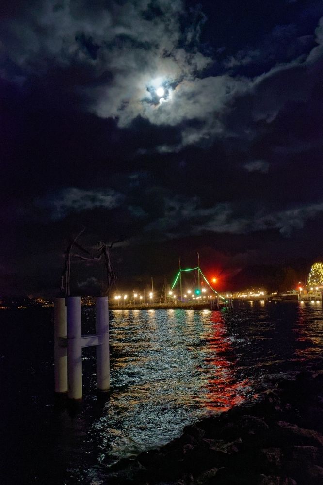 Moonlit Flottins Dance