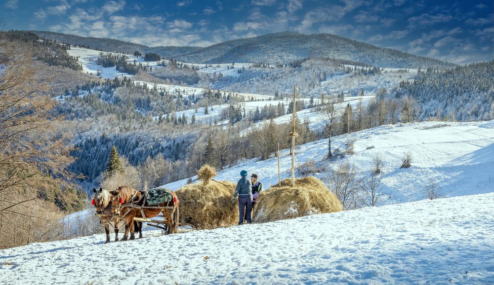 Photograph by Constantin Lazar