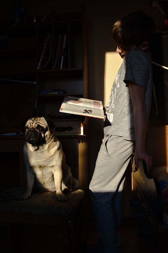 Карантин 2020