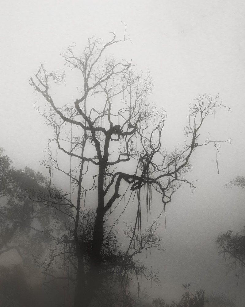 Photograph by Amith Anuradha