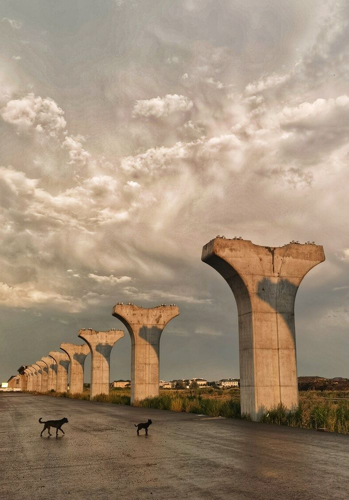 Photograph by Ксения Горленко