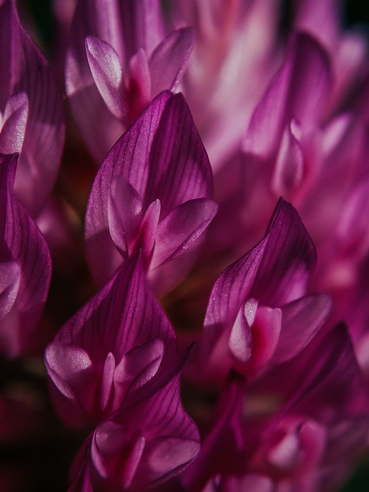 Photograph by Ирина Львова