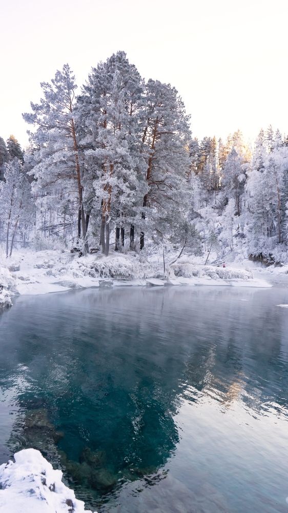 Фотография автора Елена Сова