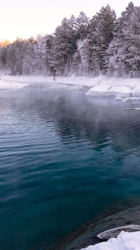 Фотография автора Елена Сова