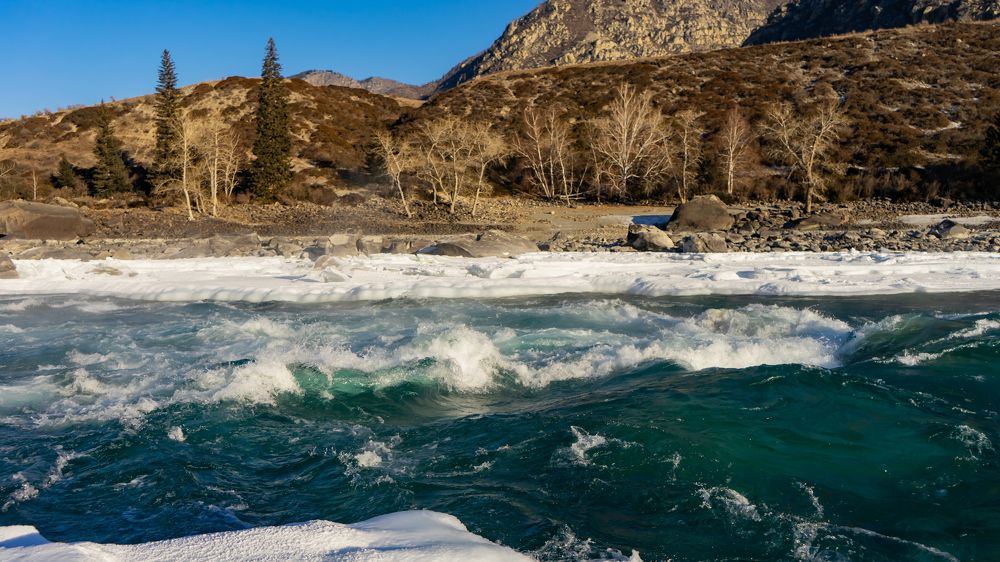 Фотография автора Елена Сова