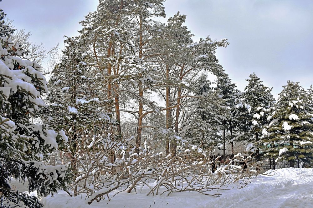 Photograph by Светлана Титова