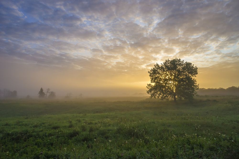 Photograph by Igor Andreev