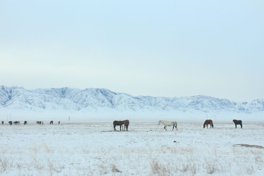 Photograph by Елизавета Верёвкина