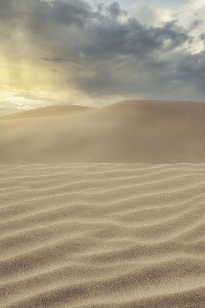 Photograph by Rajaraman Arumugam