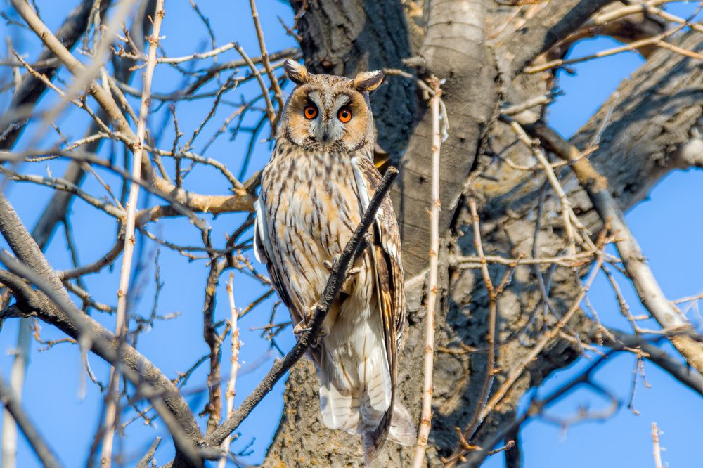 Photograph by Vahid Yavari