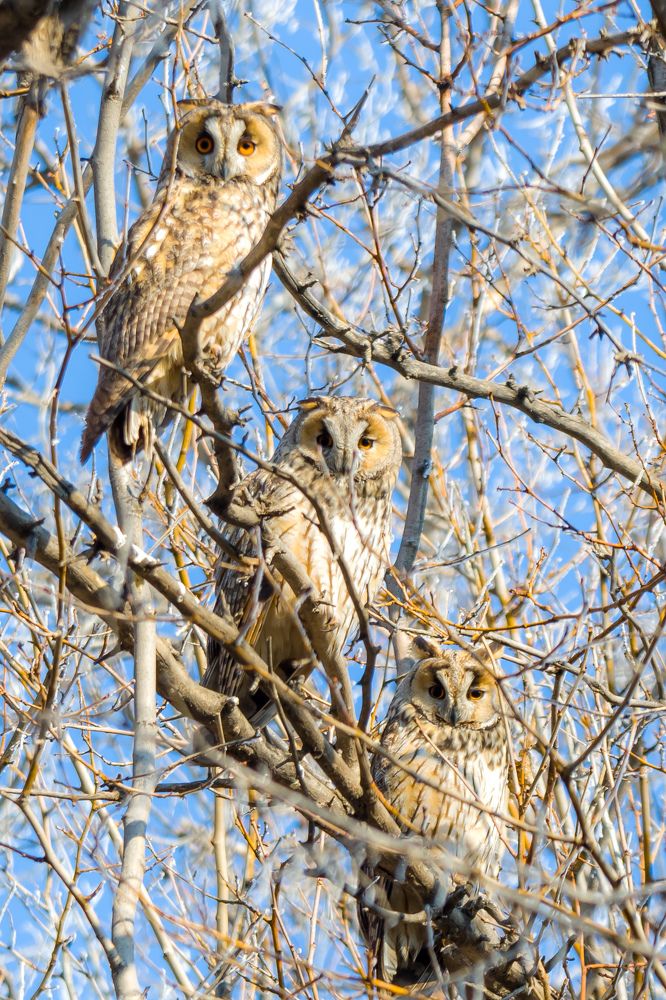 Photograph by Vahid Yavari