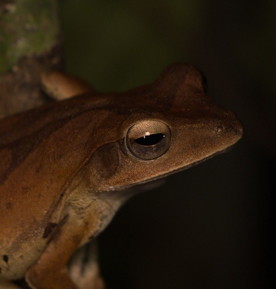 Photograph by Kiran Srinivasa