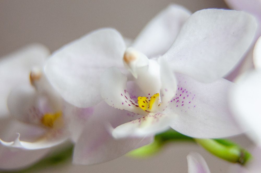 Photograph by Галина Сычева