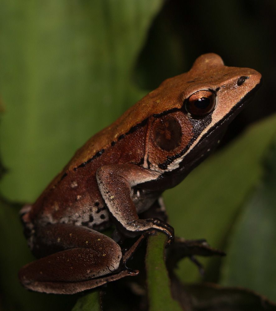 Photograph by Kiran Srinivasa