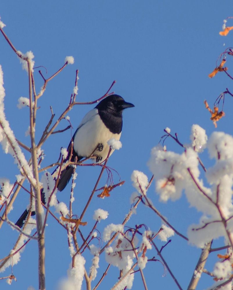 Photograph by Кирилл Грачев