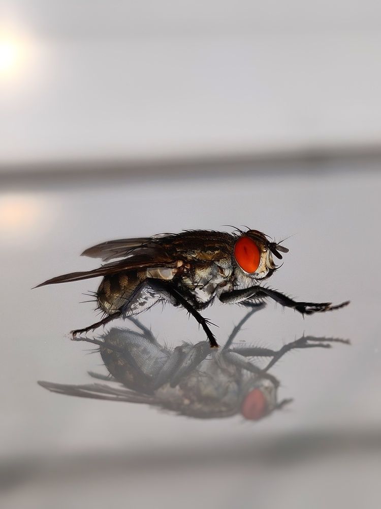 Photograph by Abhijith VG