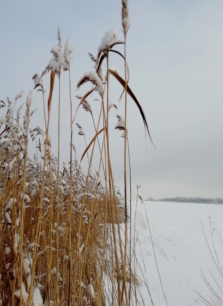 Photograph by Юлия Васильева