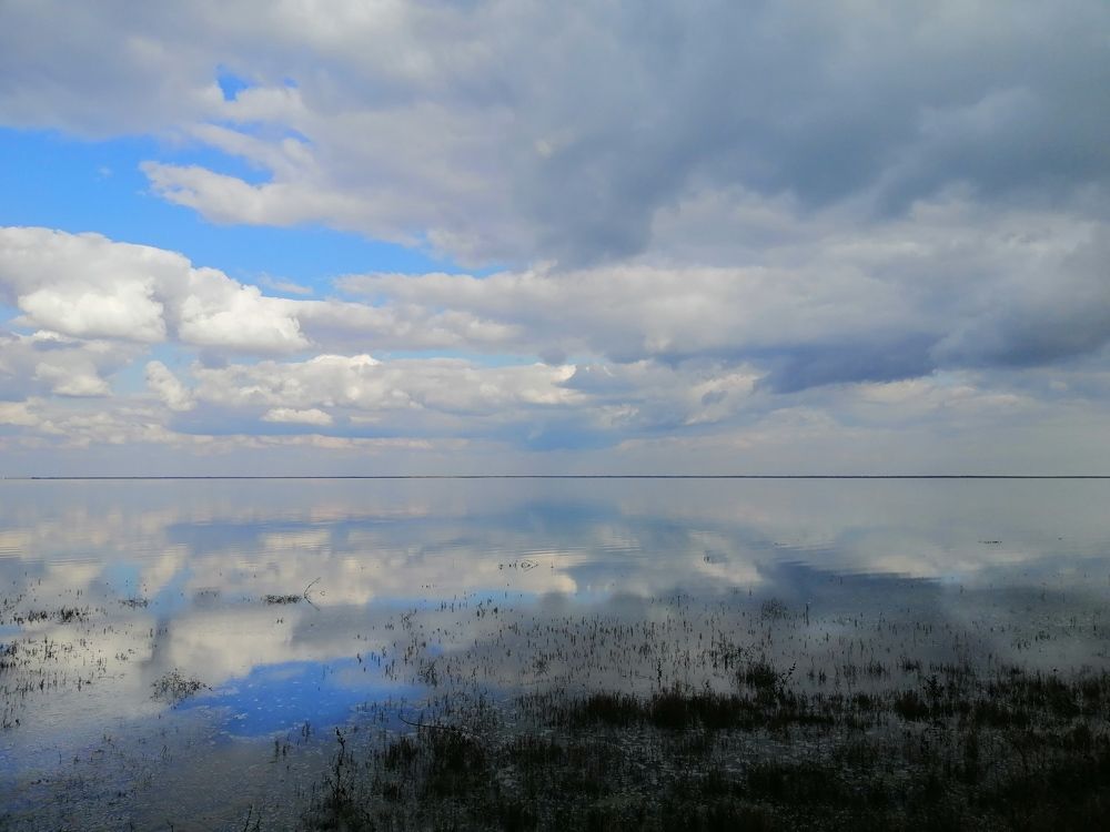 Photograph by Victoria Tymoshenko