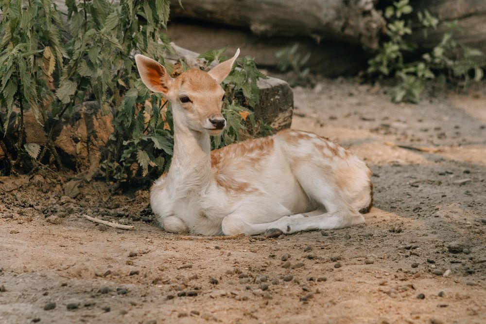 Photograph by Андрей Ероха
